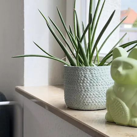 Appartement Am Park - 4p, Boxspringbett, Balkon, Smarttv, Gesundbrunnen, Familienfreundlich Halle (Saale)